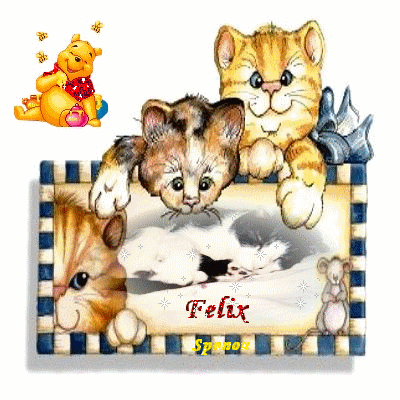Felix en plein dodo